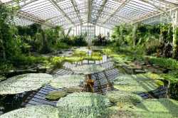 Botanical Garden Munich-Nymphenburg