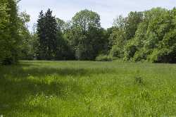 Südpark