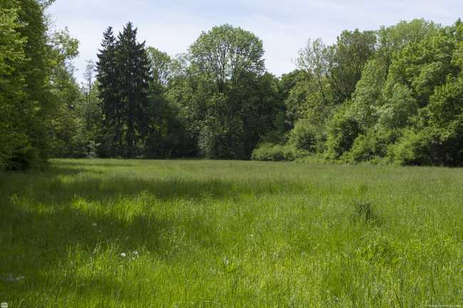 Südpark