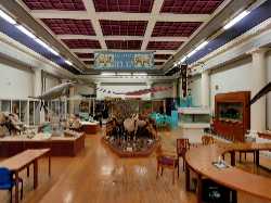 The Hunterian Zoology Museum