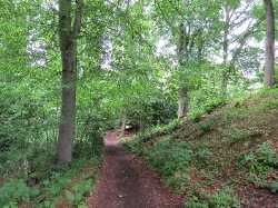 Linn Park