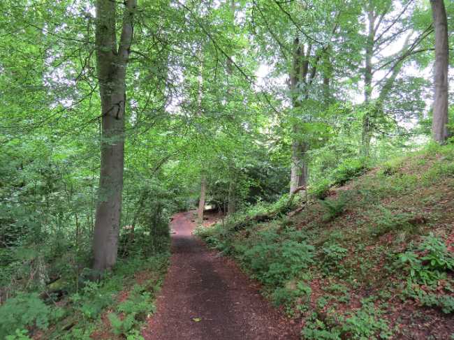 Linn Park