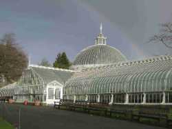 Glasgow Botanic Gardens