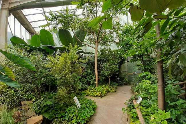 Jardin des Plantes de Caen