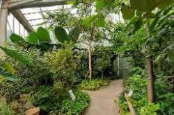 Jardin des Plantes de Caen