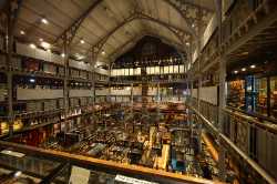 Pitt Rivers Museum