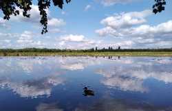 Port Meadow