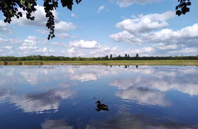 Port Meadow