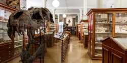 Sedgwick Museum of Earth Sciences