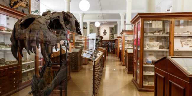 Sedgwick Museum of Earth Sciences