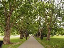 Jesus Green