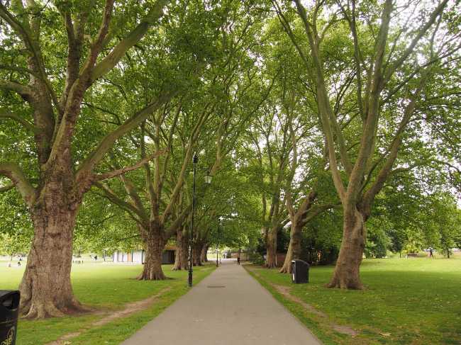 Jesus Green