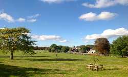 Midsummer Common
