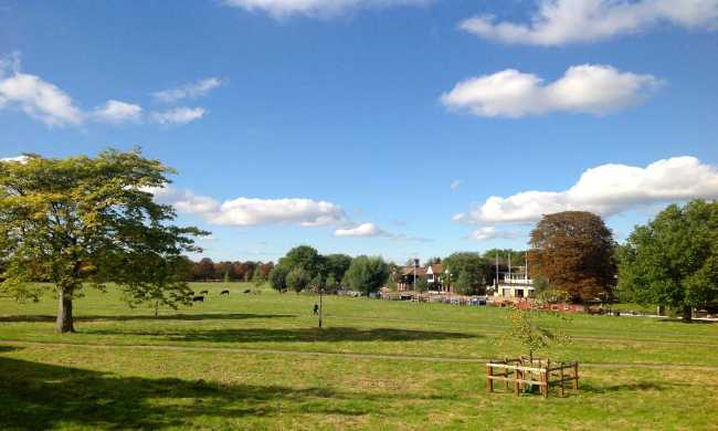 Midsummer Common
