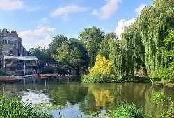 Laundress Green
