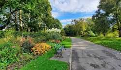 Bute Park & Arboretum