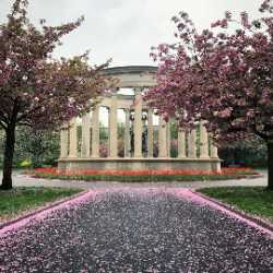 Alexandra Gardens