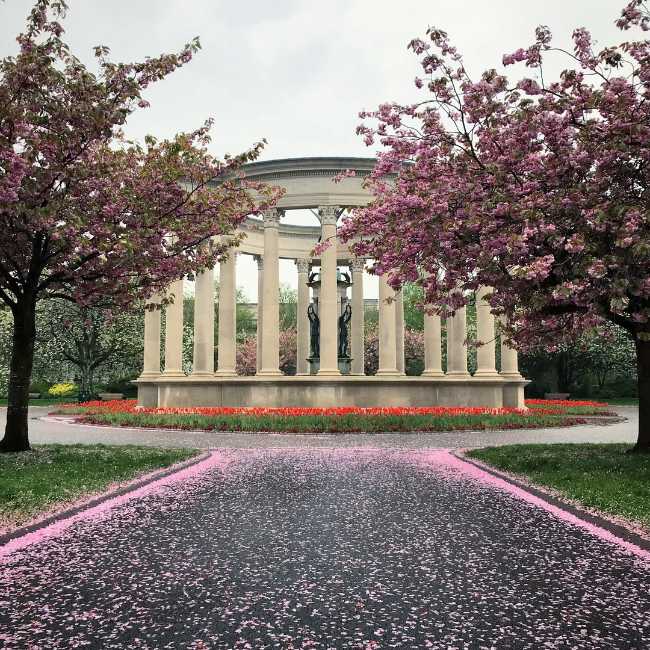Alexandra Gardens