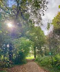 Heath Park