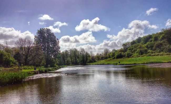 Parc Coed Y Nant