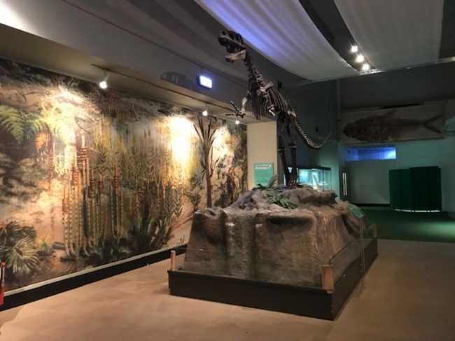 World Museum