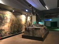 World Museum