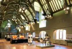 Victoria Gallery & Museum