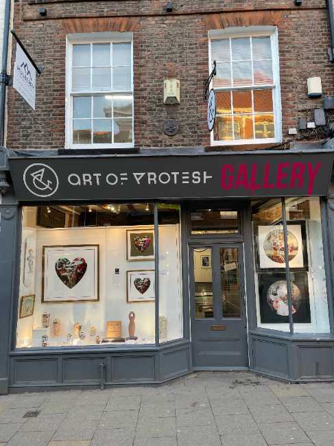 Art of Protest Gallery