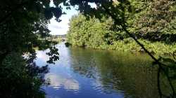Kirkstall Valley Nature Reserve