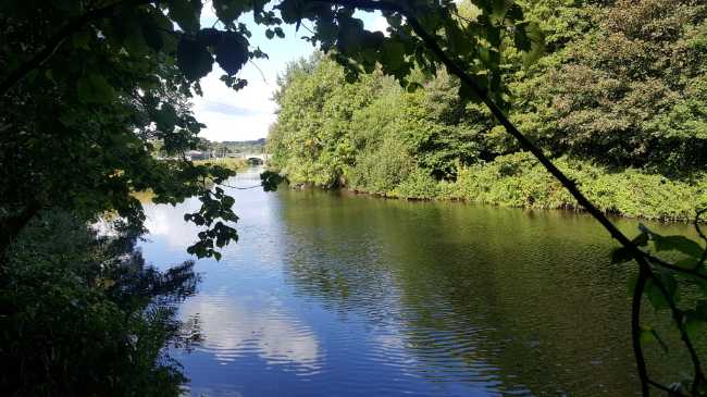 Kirkstall Valley Nature Reserve