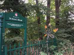 St Anne's Woods