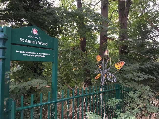 St Anne's Woods