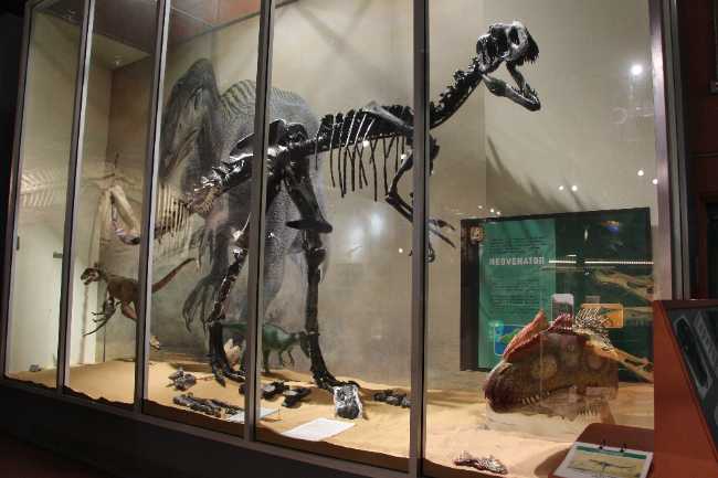 Dinosaur Isle
