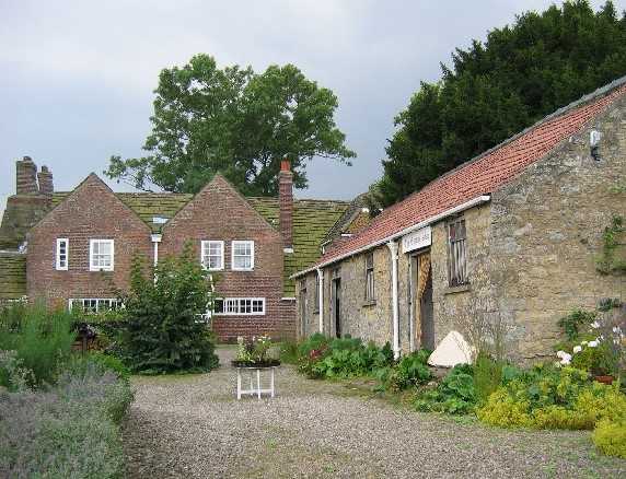 Shandy Hall