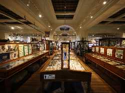 Whitby Museum