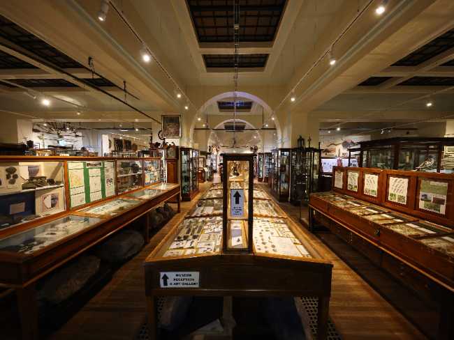 Whitby Museum