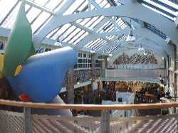 Weston Museum