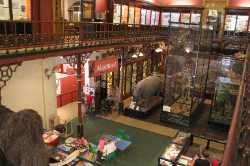 Ipswich Museum