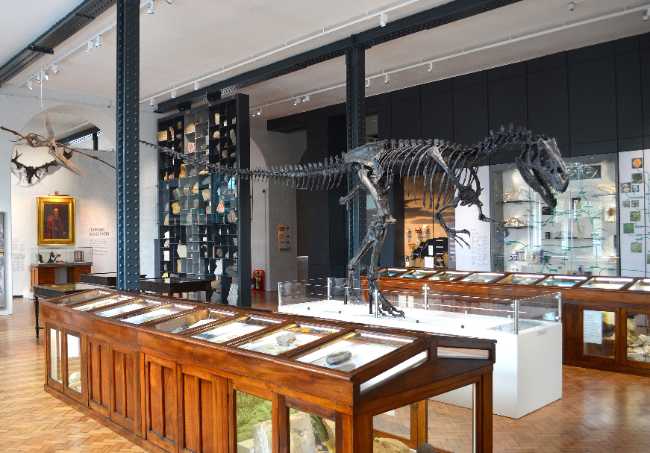 Lapworth Museum of Geology