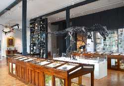 Lapworth Museum of Geology