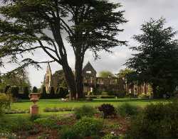 Nymans