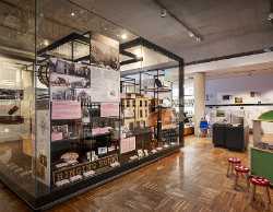 The Novium Museum