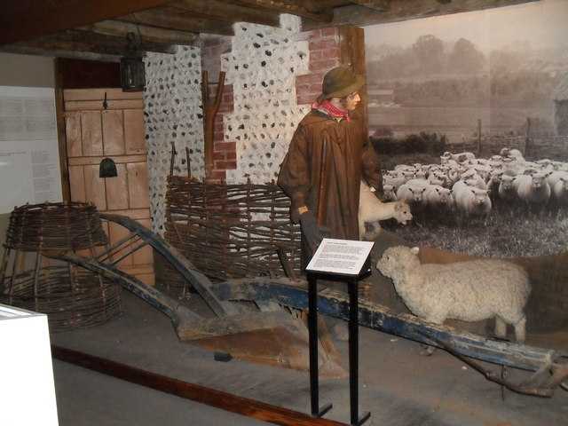 Worthing Museum and Art Gallery