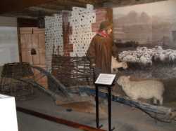 Worthing Museum and Art Gallery