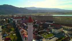 Brežice
